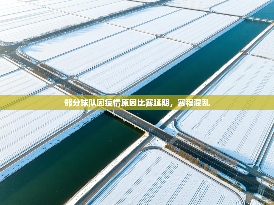 鲸鱼体育-部分球队因疫情原因比赛延期，赛程混乱  第1张