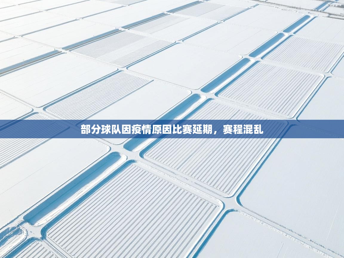 鲸鱼体育-部分球队因疫情原因比赛延期，赛程混乱  第2张