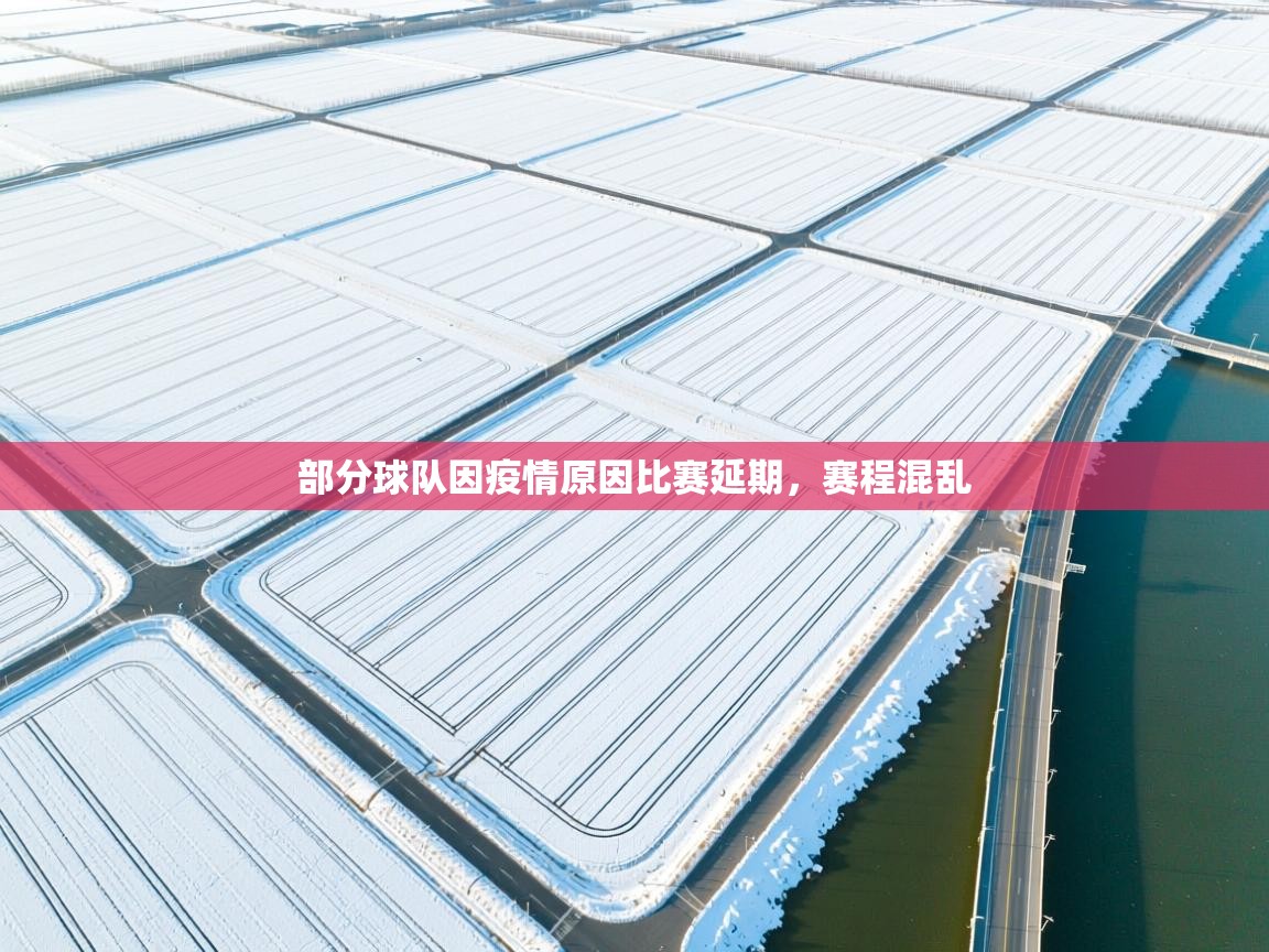 鲸鱼体育-部分球队因疫情原因比赛延期，赛程混乱  第3张